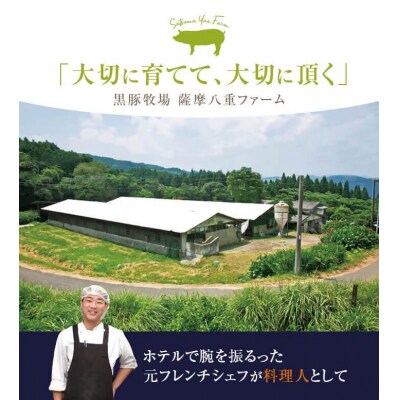 かごしま黒豚ロース肉厚切り(とんかつ・ステーキ用) 500g×6回定期便 FS-315