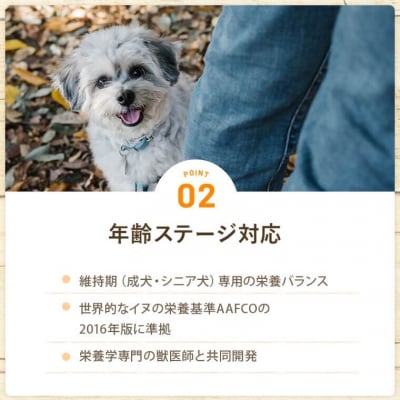 【6ヶ月定期便】Buddy FOOD 02 鶏ささみ×6パック 【バディフード】 FS-603