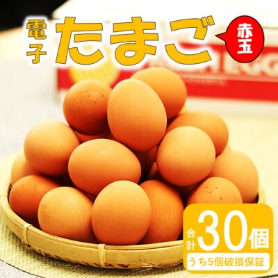 電子卵(赤玉)30個 卵 たまご 赤玉 ZS-694