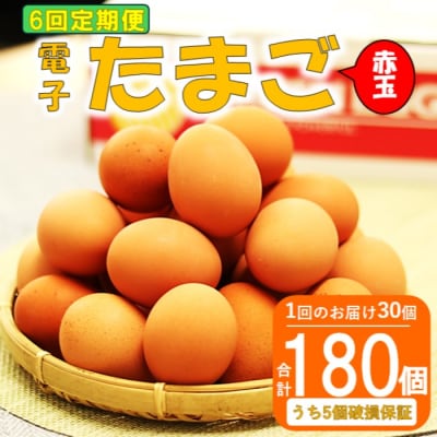 【6ヶ月定期便】 電子卵(赤玉)合計180個(30個×6回) 卵 たまご 赤玉 定期便 CS-023