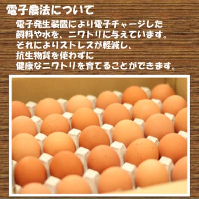 【12ヶ月定期便】 電子卵(赤玉)合計360個(30個×12回) 卵 たまご 定期便 FS-005