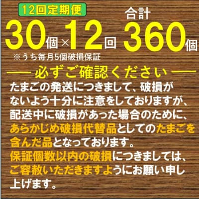 【12ヶ月定期便】 電子卵(赤玉)合計360個(30個×12回) 卵 たまご 定期便 FS-005