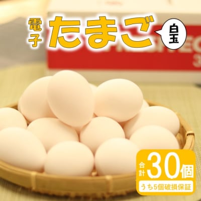 【2026年1月発送】電子たまご(白玉) 30個 卵 たまご 白玉 ZS-534-1