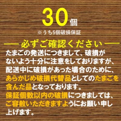 【2026年1月発送】電子たまご(白玉) 30個 卵 たまご 白玉 ZS-534-1