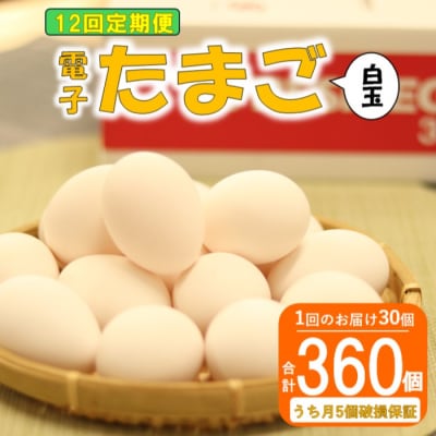 【12ヶ月定期便】電子たまご(白玉) 合計360個(30個×12回) 卵 たまご ES-610