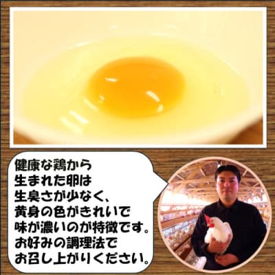 【12ヶ月定期便】電子たまご(白玉) 合計360個(30個×12回) 卵 たまご ES-610