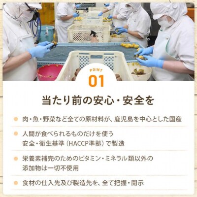 【12ヶ月定期便】 Buddy FOOD 03　豚もも×6パック×12回 バディフード JS-311
