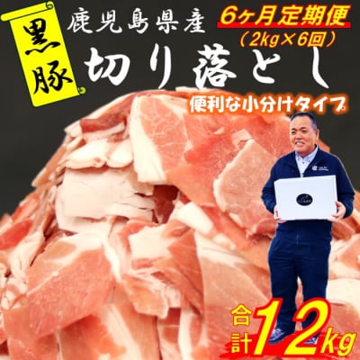 【定期便:6ヶ月】鹿児島県産黒豚切り落とし 合計12kg(2kg×6回) GSR-032
