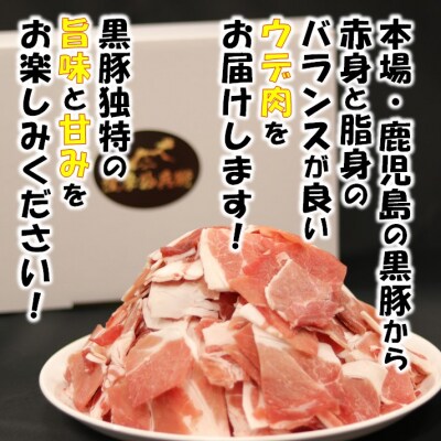 【定期便:6ヶ月】鹿児島県産黒豚切り落とし 合計12kg(2kg×6回) GSR-032