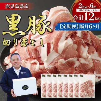 【定期便1月おき6回】鹿児島県産黒豚切り落とし 合計12kg(2kg×6回) 小分け GSR-033