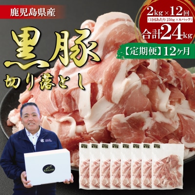 【定期便:12ヶ月】鹿児島県産黒豚切り落とし 合計24kg(2kg×12回) 小分け JSR-415