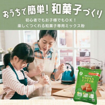 【グルテンフリー】わらびもちミックス粉　20袋　BS-143