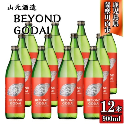 BEYOND GODAI 芋焼酎 25度 900ml×12本 山元酒造 GSR-801