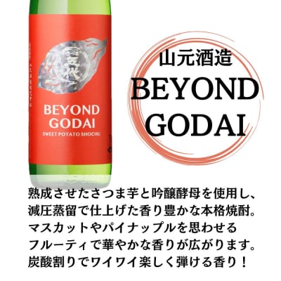 BEYOND GODAI 芋焼酎 25度 900ml×12本 山元酒造 GSR-801