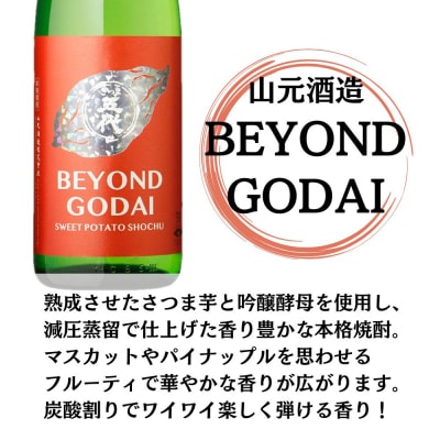 BEYOND GODAI  芋焼酎 25度 1800ml×3本 山元酒造 CSR-811