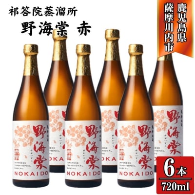 野海棠 赤 芋焼酎 25度 720ml×6本 祁答院蒸溜所 芋焼酎 焼酎 本格焼酎 DSR-226