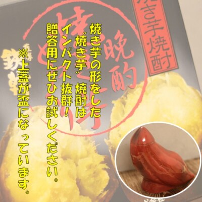 贈答用におススメ!　晩酌焼き芋とっくり 720ml オガタマ酒造 AS-885