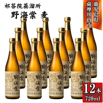 野海棠 麦焼酎 25度 720ml×12本 祁答院蒸溜所 麦焼酎 焼酎 本格焼酎 GSR-506
