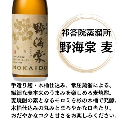 野海棠 麦焼酎 25度 720ml×12本 祁答院蒸溜所 麦焼酎 焼酎 本格焼酎 GSR-506