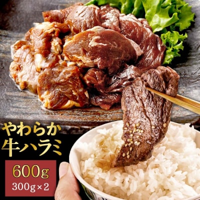 やわらか牛ハラミ(サガリ)肉　極旨秘伝醤油タレ漬け600g(300g×2袋)【訳あり】ZS-6122