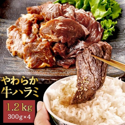 【訳あり】やわらか牛ハラミ(サガリ)肉　極旨秘伝醤油タレ漬け1.2kg AS-0134