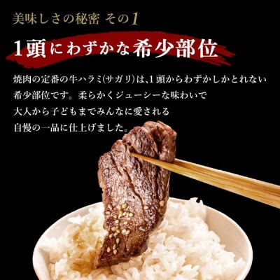 【訳あり】やわらか牛ハラミ(サガリ)肉　極旨秘伝醤油タレ漬け1.2kg AS-0134