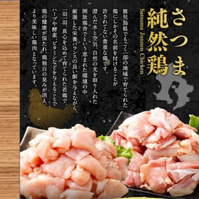 【12回定期便】さつま純然鶏 若鶏 むね切身(300g×8パック×12回 ) HS-902