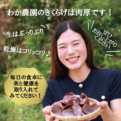 鹿児島県産天日干し乾燥きくらげ 合計210g AS-4104 国産 木耳 