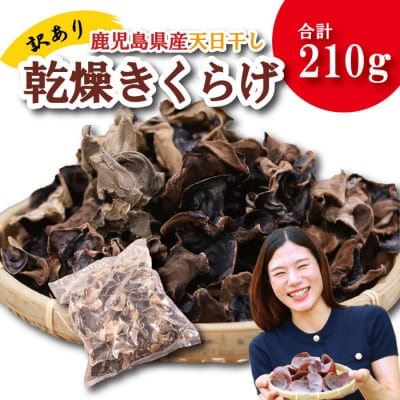 ＼"訳アリ”/鹿児島県産天日干し乾燥きくらげ 合計210g 国産 木耳 ZS-785