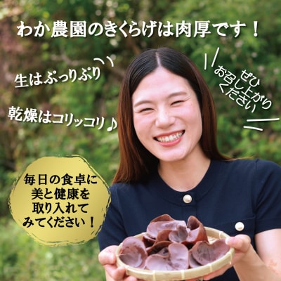 ＼"訳アリ”/鹿児島県産天日干し乾燥きくらげ 合計210g 国産 木耳 ZS-785