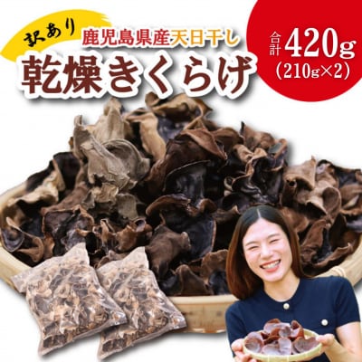 ＼"訳アリ”/鹿児島県産天日干し乾燥きくらげ 合計420g 国産 木耳 AS-9109