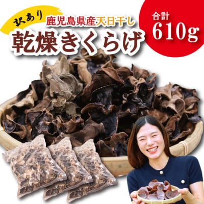 ＼"訳アリ”/鹿児島県産天日干し乾燥きくらげ 合計610g 国産 木耳　BS-096