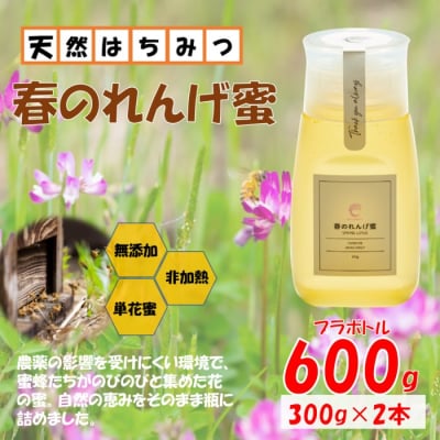 春のれんげ蜜 2本 セット 合計600g (300g×2本) AS-8108
