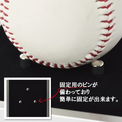 野球ボールケース額 1個用 黒別珍 T25-シルバー コレクションケース BS-248