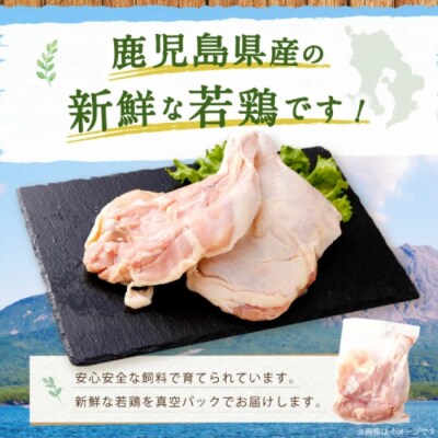 鹿児島県産骨付きもも 10本セット 若鶏 鶏肉 もも肉 AS-4100