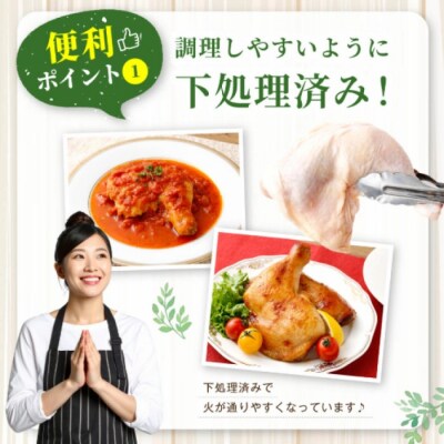鹿児島県産骨付きもも 10本セット 若鶏 鶏肉 もも肉 AS-4100