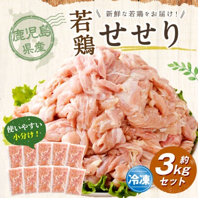 鹿児島県産若鶏小肉(せせり)約3kgセット 若鶏 鶏肉 せせり BS-399