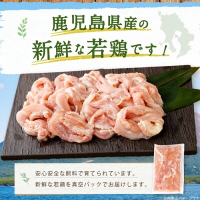 鹿児島県産若鶏小肉(せせり)約3kgセット 若鶏 鶏肉 せせり BS-399