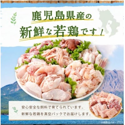 鹿児島県産若鶏焼肉 約4.2kgセット 鶏肉 鶏 焼肉 BS-226
