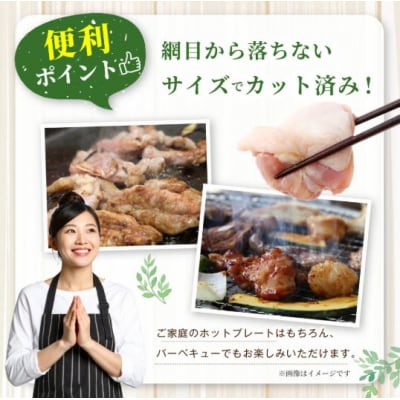 鹿児島県産若鶏焼肉 約4.2kgセット 鶏肉 鶏 焼肉 BS-226