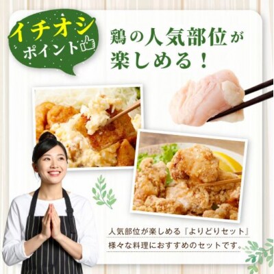 鹿児島県産若鶏よりどり 約3.6kgセット 若鶏 鶏肉 チキン AS-894