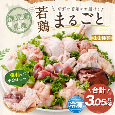 鹿児島県産若鶏まるごと 約3.05kgセット 鶏肉 若鶏 チキン AS-797