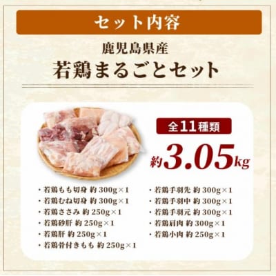 鹿児島県産若鶏まるごと 約3.05kgセット 鶏肉 若鶏 チキン AS-797