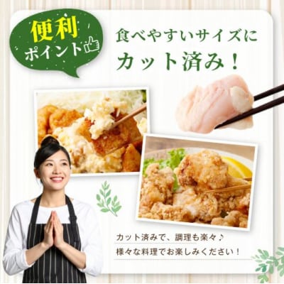 鹿児島県産若鶏まるごと 約3.05kgセット 鶏肉 若鶏 チキン AS-797