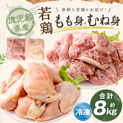 鹿児島県産 もも身 むね身 約8kg セット 若鶏 もも肉 モモ肉 むね肉 カット CSR-818