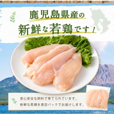 鹿児島県産 若鶏 ささみ 約2.5kg セット カット 小分け 鶏肉 冷凍 AS-2217