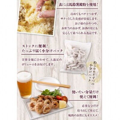 国産するめいか唐揚げ 約500g イカ スルメイカ 海鮮 AS-0148