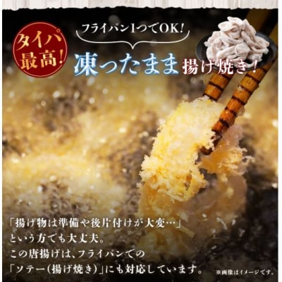 国産するめいか唐揚げ 約500g×2パック イカ するめいか 海鮮 AS-5121