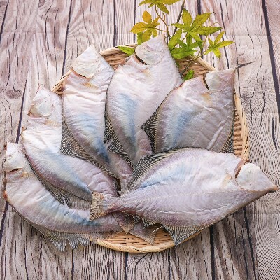北海道産 宗八がれい(大)一夜干し 2尾×3セット