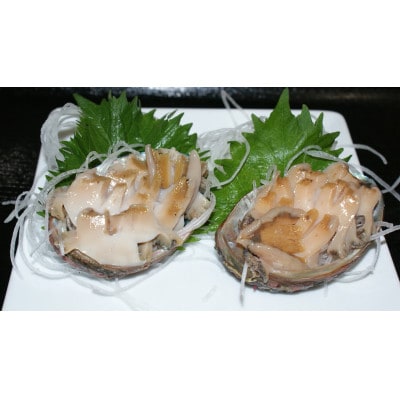 北海道産エゾあわび